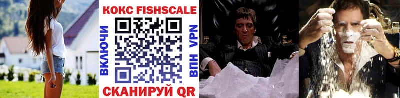 нарко площадка какой сайт  Емва  Cocaine Fish Scale 