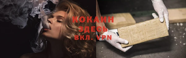 прущие грибы Абинск
