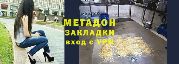 ГАЛЛЮЦИНОГЕННЫЕ ГРИБЫ Дмитриев
