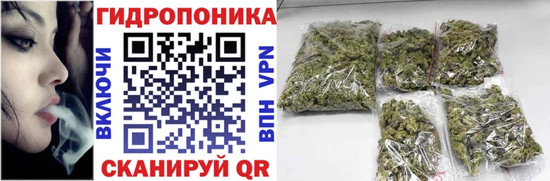 Конопля Amnesia  где найти   Емва 